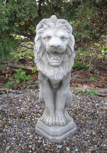 KGP14 Medium Lion KGP14 Medium Lion